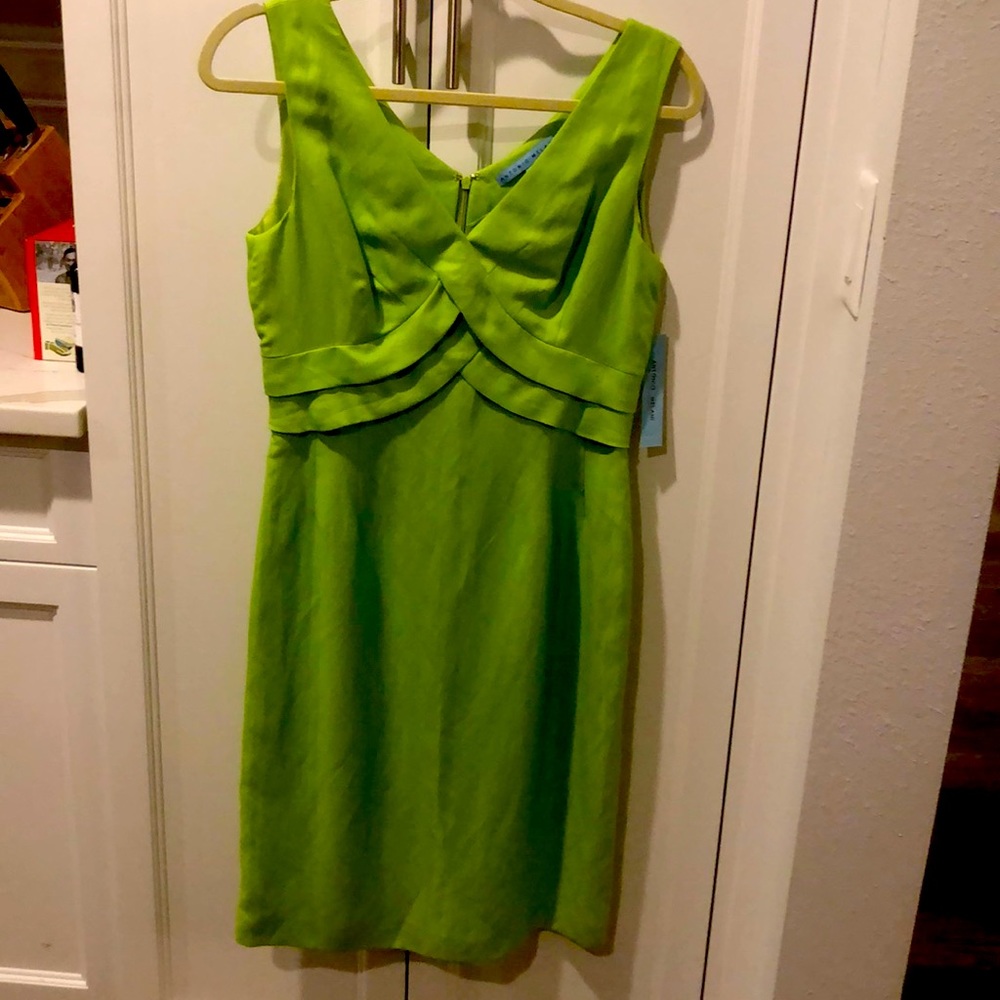 Antonio Melani Dress